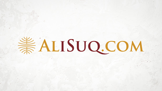 Alisuq.com the range includes all voltage stabilizers and variac SUNTEK