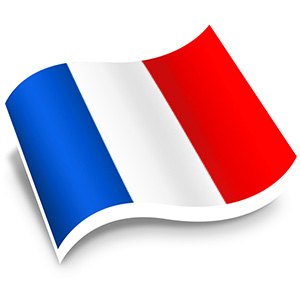 Cooperation with French-speaking partners